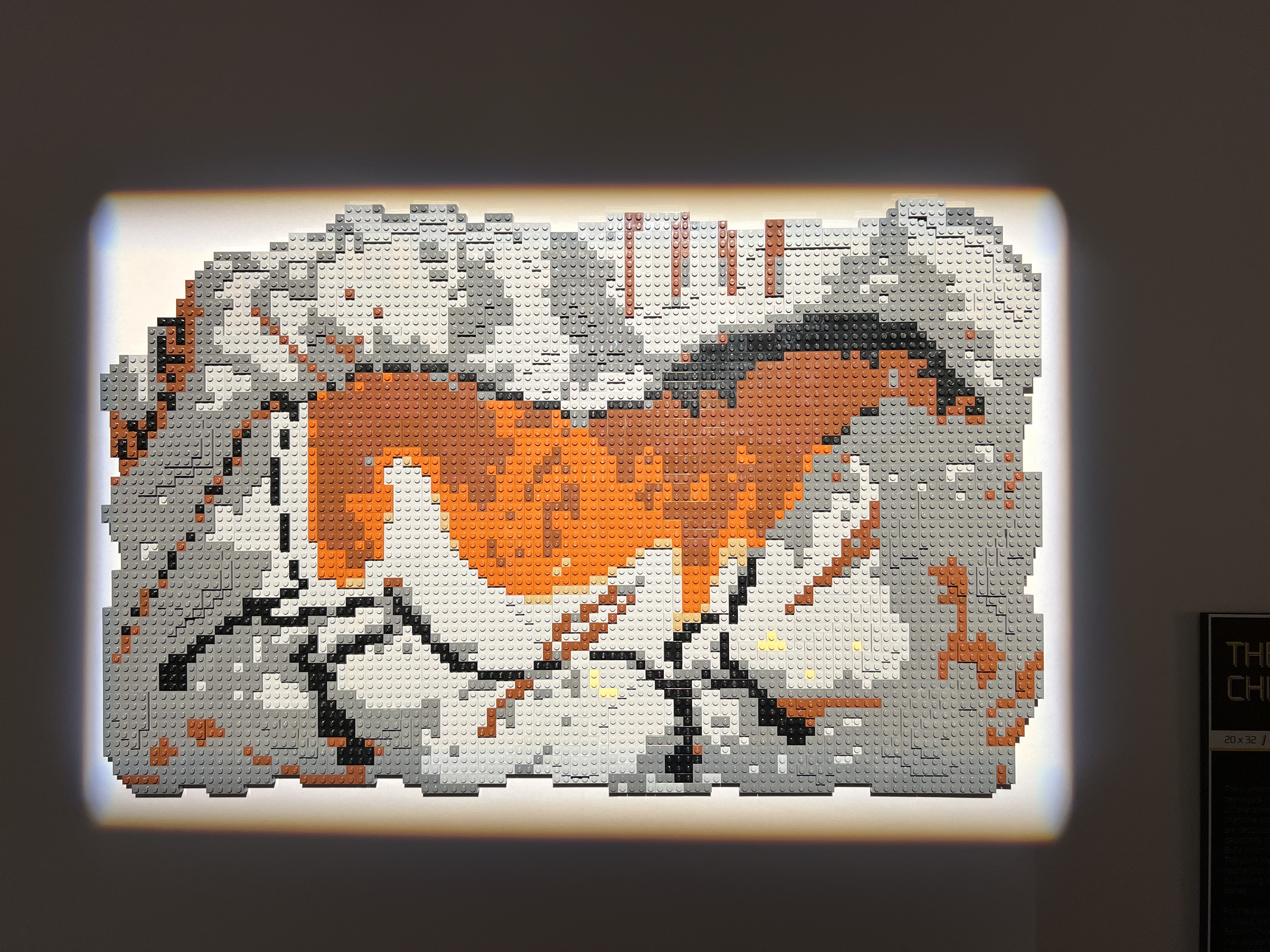 ./2023/07 - Art of the Brick/IMG_9570.JPG